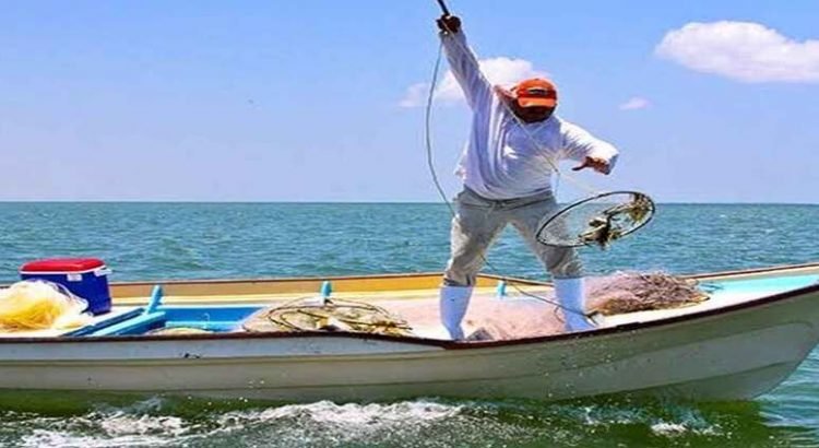 Tarjetas de Bienpesca sin dinero