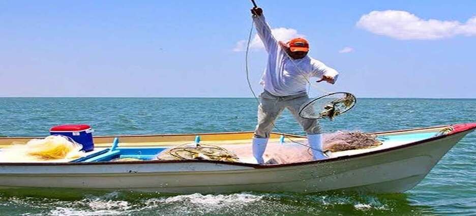 Tarjetas de Bienpesca sin dinero