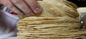 Profeco implementará operativos para que se respete el precio de la tortilla