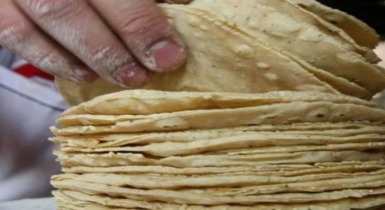 Profeco implementará operativos para que se respete el precio de la tortilla