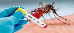 Sinaloa tiene 121 casos de dengue