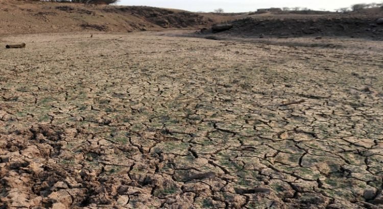 Sinaloa también esta afectado por la sequía