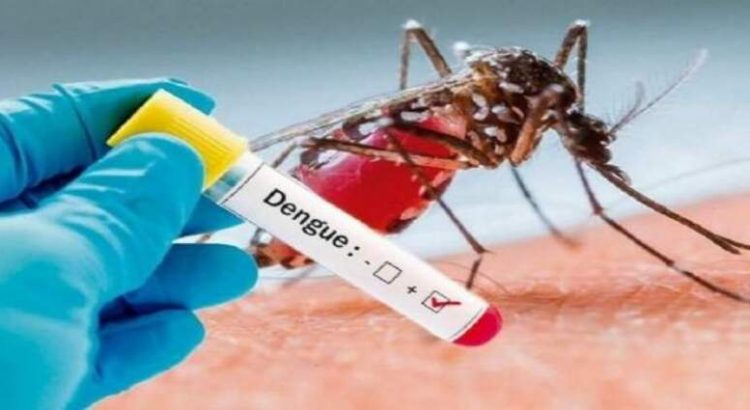 Al alza los casos de dengue en la entidad