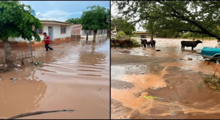 Afectaciones y evacuaciones por lluvias en el estado