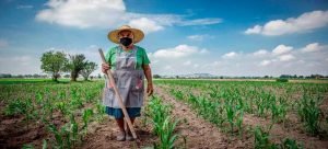 Lanzan convocatoria para el premio a la mujer rural 2022 en el estado