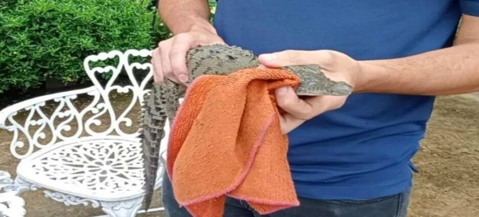 Encontraron un cocodrilo pequeño en su casa