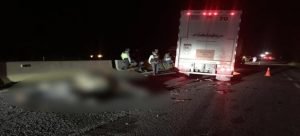 Automovilista se impacta contra un toro