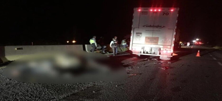 Automovilista se impacta contra un toro