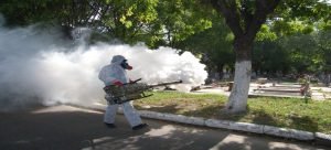 Solo fumigan los sectores vulnerables de proliferación de mosquito
