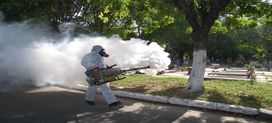 Solo fumigan los sectores vulnerables de proliferación de mosquito