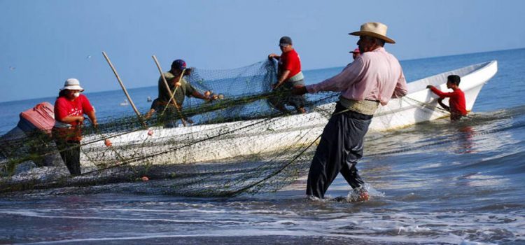 Entregan apoyos económicos al sector pesquero