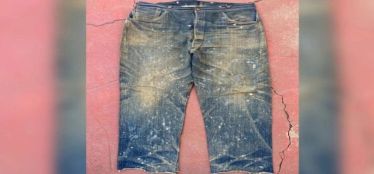 Subastan unos jeans del siglo XIX en EEUU