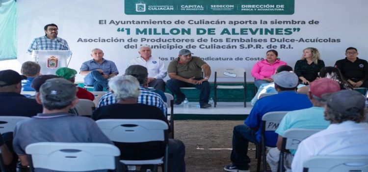 El Ayuntamiento de Culiacán realiza la siembra de un millón de alevines