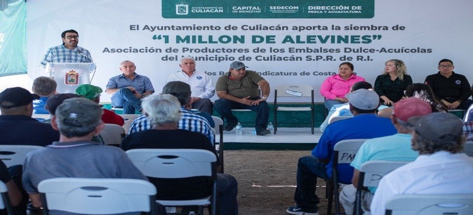 El Ayuntamiento de Culiacán realiza la siembra de un millón de alevines