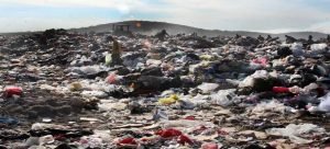 Recolector de basura se dispara por accidente