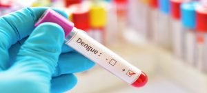 Se confirman 254 casos de dengue en el estado de Sinaloa