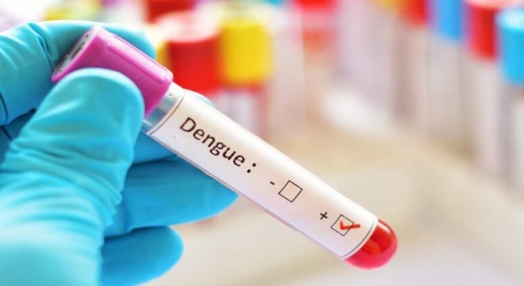 Se confirman 254 casos de dengue en el estado de Sinaloa