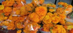 Precios oficiales de flores para el Día de Muertos