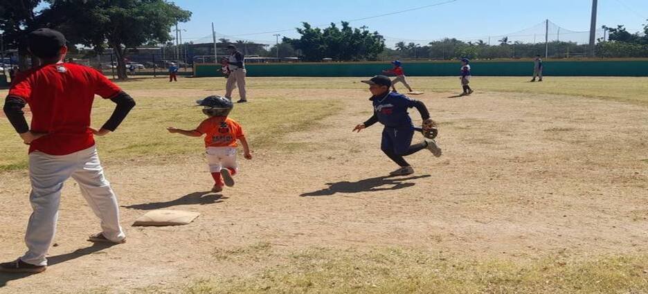 Torneos nacionales de béisbol en el estado de Sinaloa