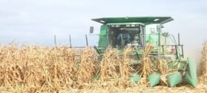 Ponen en pausa la reforma para prohibir el uso de plaguicidas y herbicidas