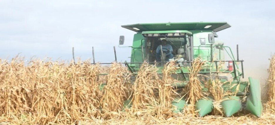 Ponen en pausa la reforma para prohibir el uso de plaguicidas y herbicidas