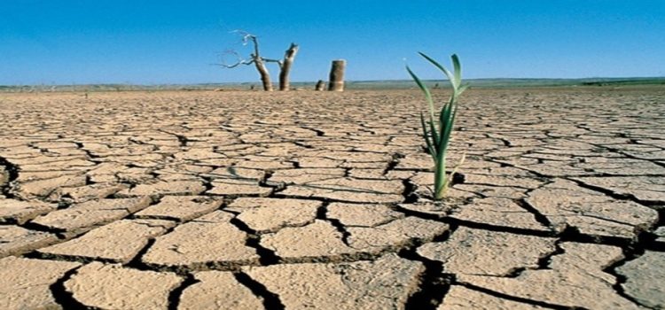 Comienza la sequía en el estado de Sinaloa