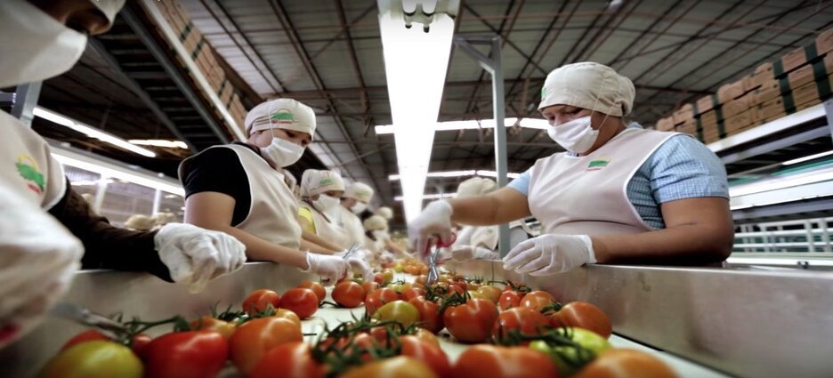 Sinaloa es parte de los estados con mayor crecimiento económico del país