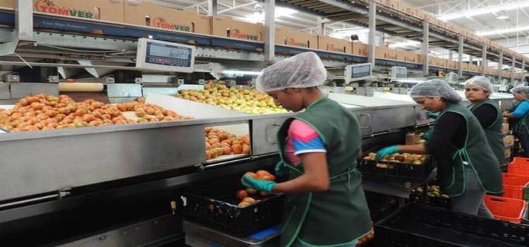 En Sinaloa se generaron 19 mil nuevos empleos formales en marzo