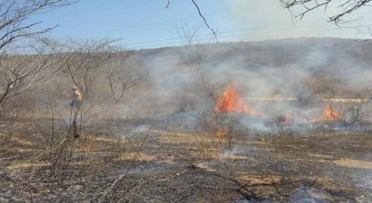 Sinaloa es parte de los estados con más riesgo de incendio forestal del país