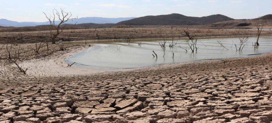 Más de 200 comunidades del estado afectadas por la sequía