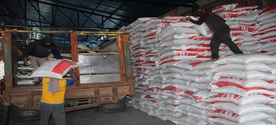 Se estima una entrega de 168 mil toneladas de fertilizante en Sinaloa