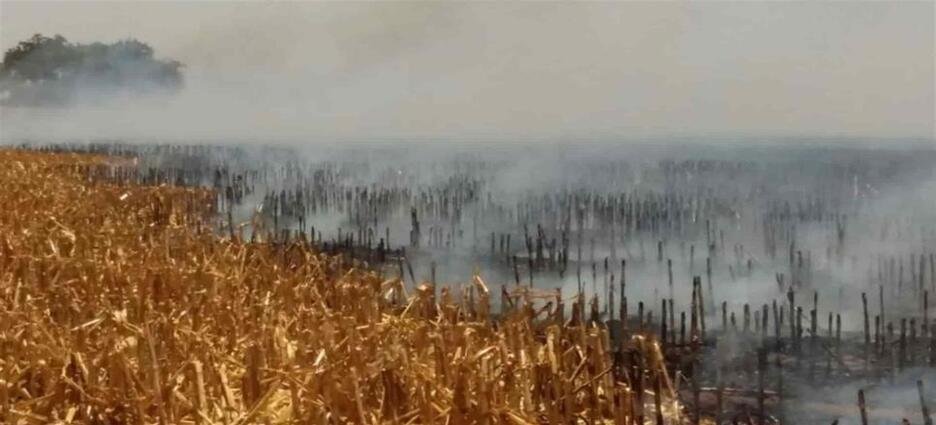 El Ayuntamiento instalará el comité contra la quema de soca