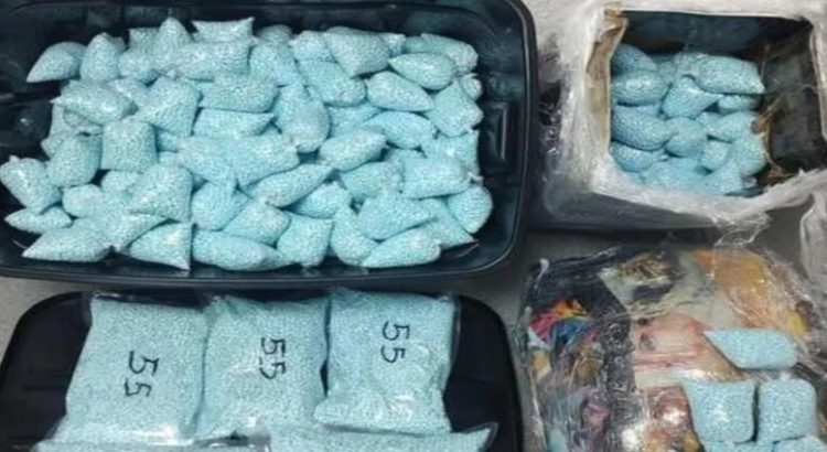 Guardia Nacional decomisa 530 mil pastillas de fentanilo en Culiacán