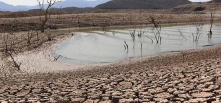 El Gobierno de Sinaloa contempla declarar zonas de desastre algunas comunidades por falta de lluvias