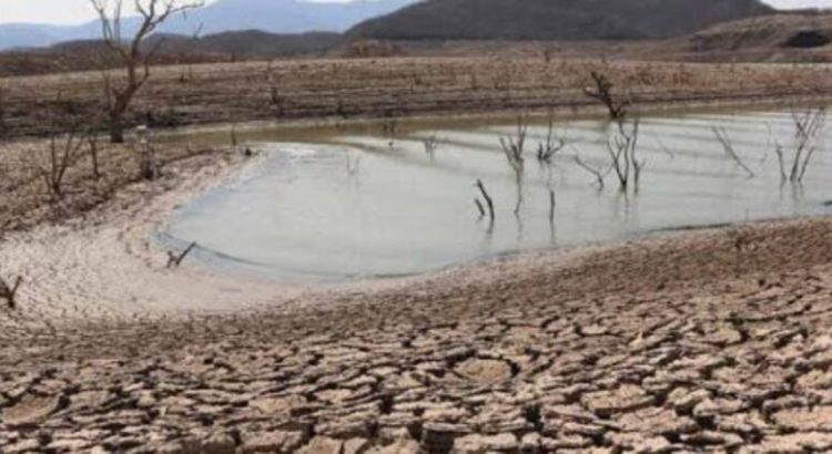 El Gobierno de Sinaloa contempla declarar zonas de desastre algunas comunidades por falta de lluvias