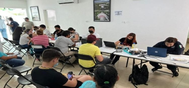 Sinaloa recaudó 217 mdp en el Buen Fin por adeudos vehiculares Sinaloa recaudó 217 mdp en el Buen Fin por adeudos vehiculares