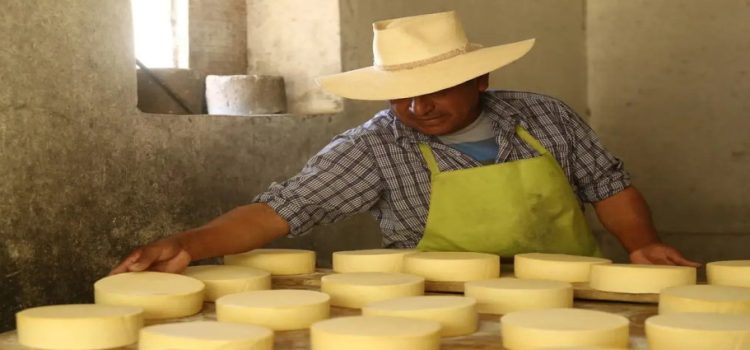 Productores de queso al sur del estado afectados por incremento en el recibo de CFE
