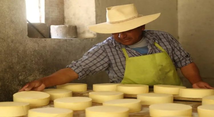 Productores de queso al sur del estado afectados por incremento en el recibo de CFE