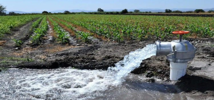El gobierno de Sinaloa podría invertir 100 mdp en el programa de rescate de agua