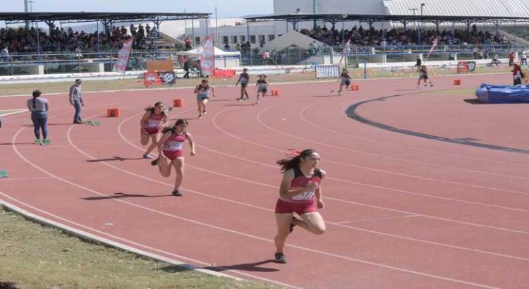 Incrementarán a 3 mil pesos las becas deportivas para atletas de Culiacán