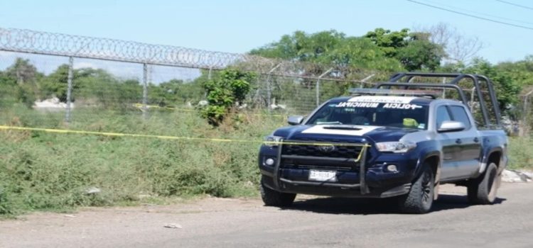 Autoridades continúan búsqueda de tigre en las inmediaciones del Hospital de la Mujer