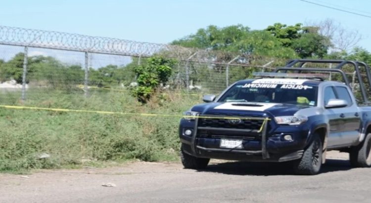 Autoridades continúan búsqueda de tigre en las inmediaciones del Hospital de la Mujer