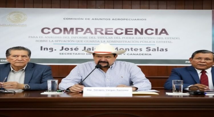Sinaloa referente a nivel nacional en tema agrícola