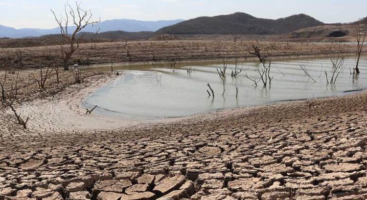 Cinco municipio de Sinaloa presentan mayor sequía