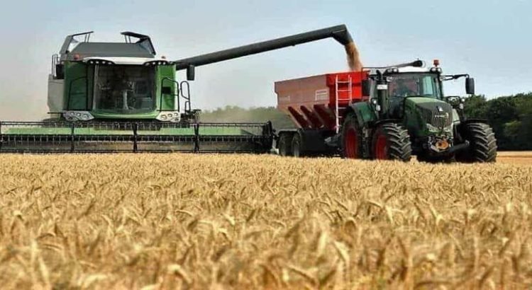 Esta semana terminarán de pagar a maiceros de Sinaloa