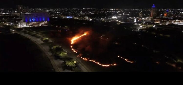 Incendio de maleza en sector Tres Ríos