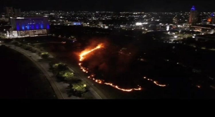 Incendio de maleza en sector Tres Ríos