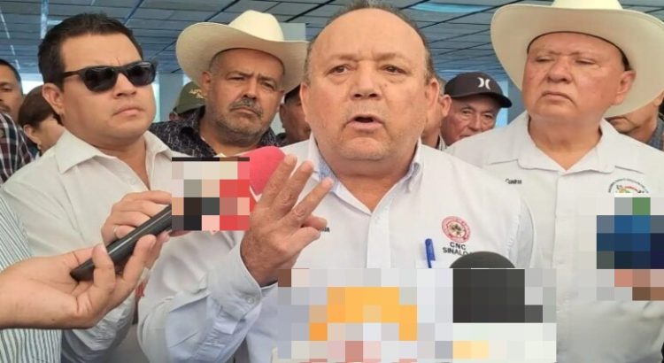 Agricultores exigen que se declare a Sinaloa estado de emergencia por precios de los granos