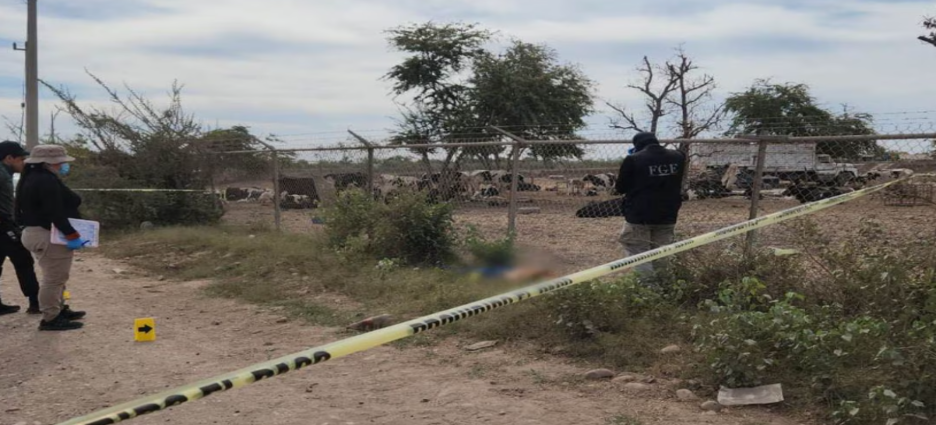 Reportan 3 muertes en diferentes locaciones de Culiacán