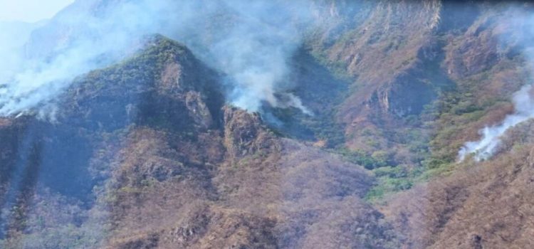 Sinaloa tiene tres incendios activos en la sierra, el más grande esta en Elota